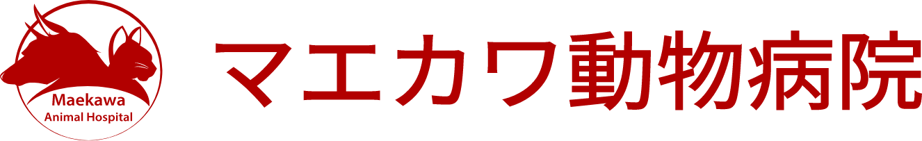 マエカワ動物病院