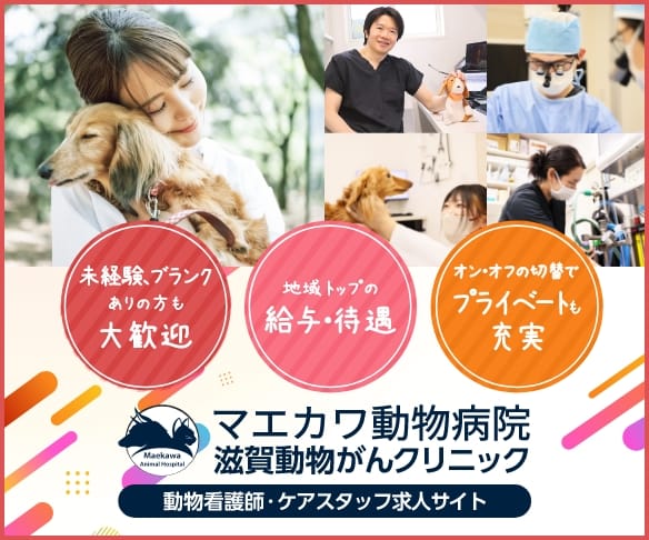 求人サイト　バナー