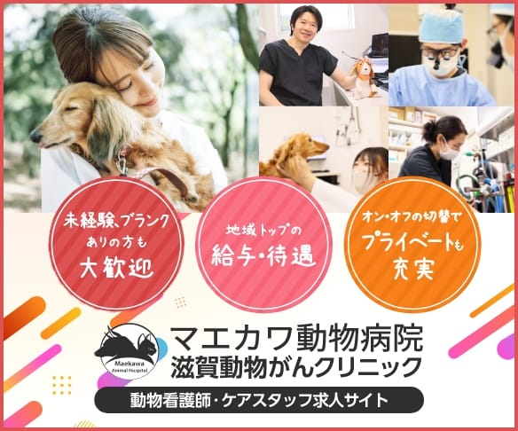 求人サイト　バナー