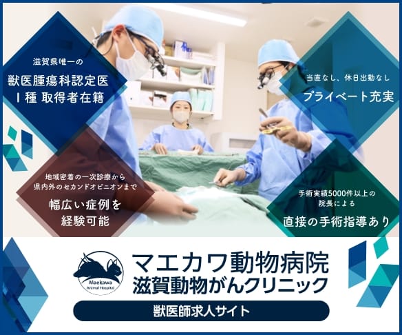 求人サイト　バナー