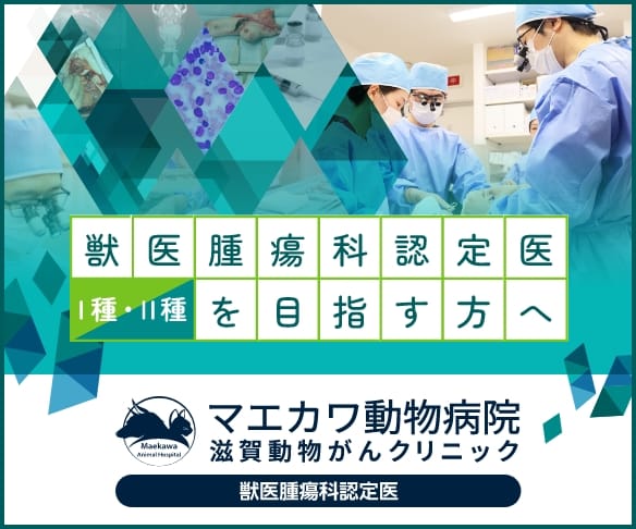 求人サイト　バナー