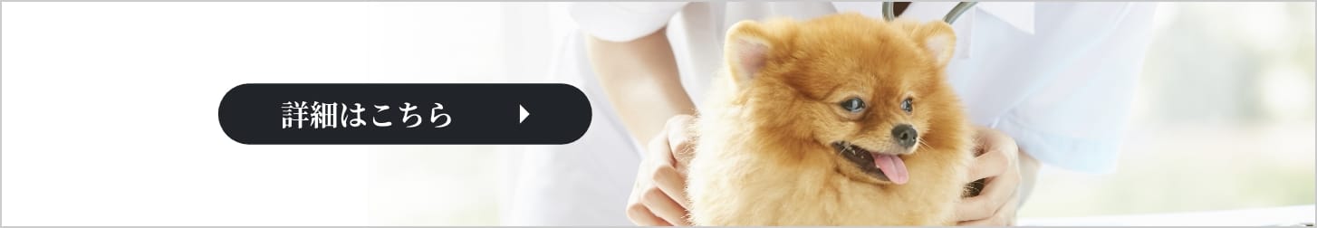 トップ画像