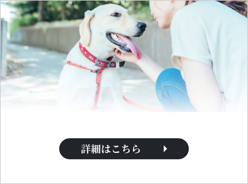 トップ画像