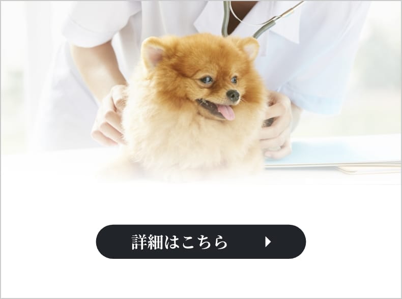 トップ画像