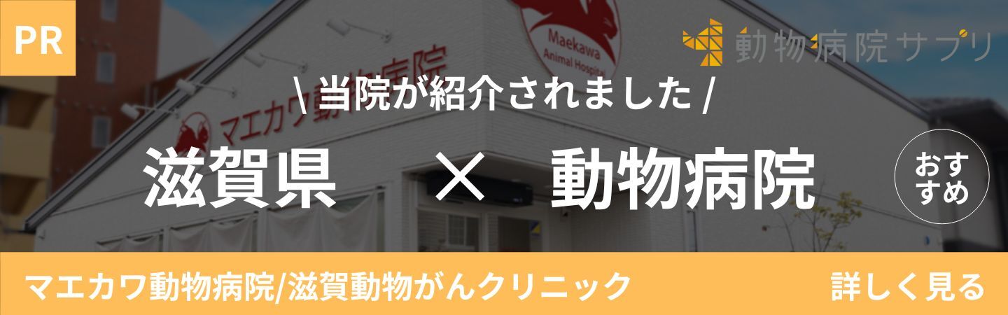 ドクターズインタビューに当院のドクターが掲載されました。