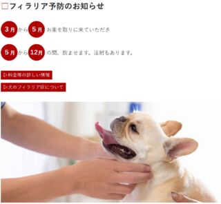 治療方針がみえてくる　犬と猫の腫瘍診療 治療方針がみえてくる犬と猫の腫瘍診療 | 田川 道人 |本 | 通販